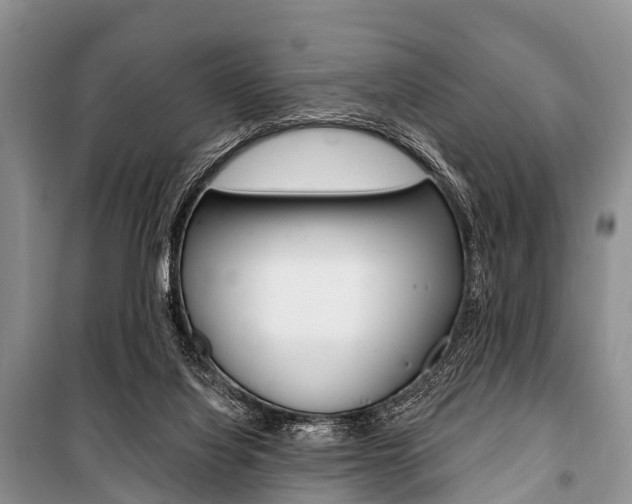 X0000101210068200806270903