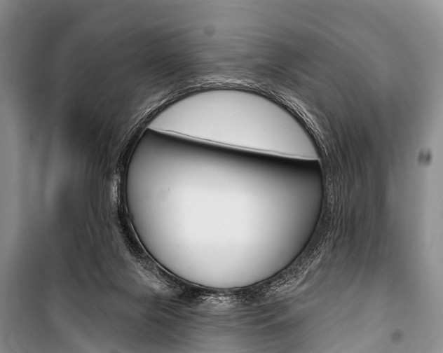 X0000101210071200806270903