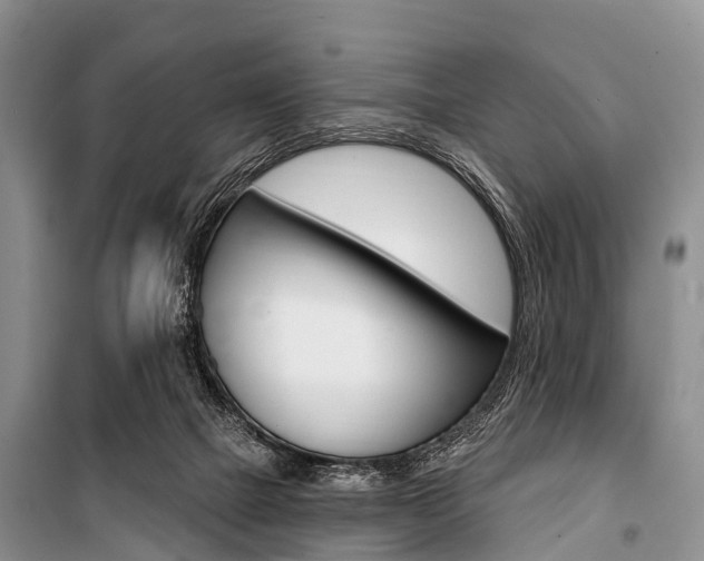 X0000101210073200806270903