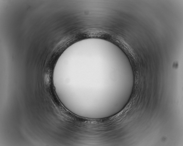 X0000101210074200806270903