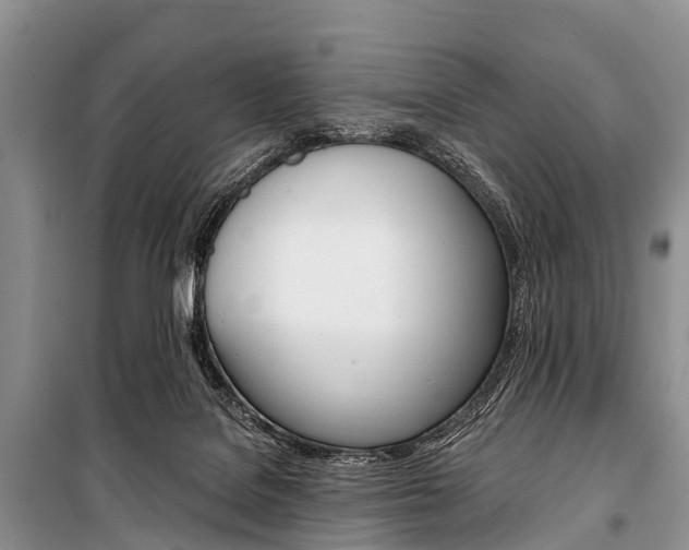 X0000101210076200806270903
