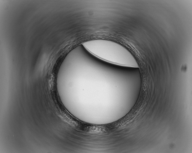 X0000101210077200806270903