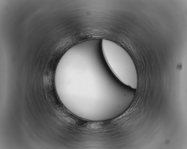 X0000101210078200806270903