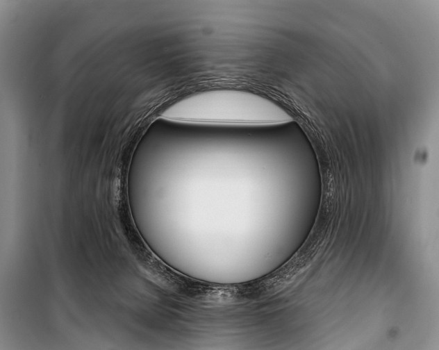 X0000101210080200806270903