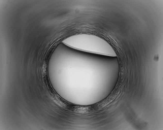 X0000101210081200806270903