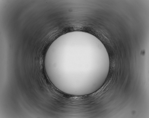 X0000101210082200806270903