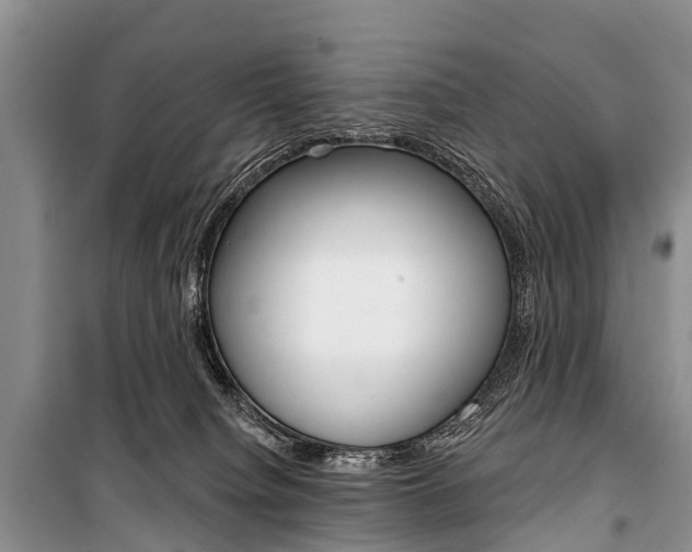 X0000101210084200806270903