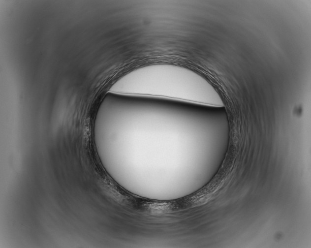X0000101210085200806270903
