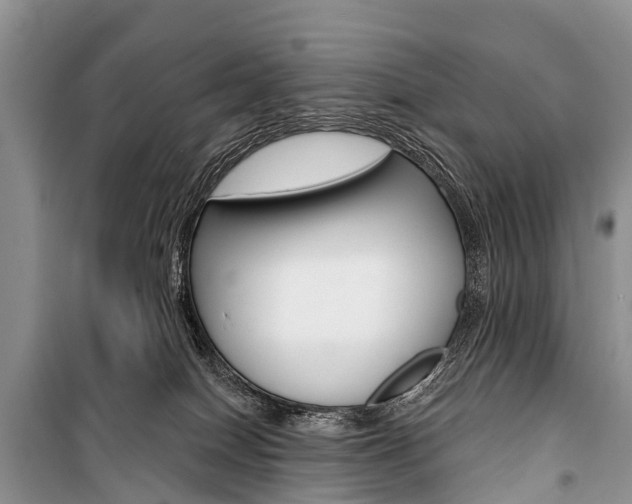 X0000101210086200806270904