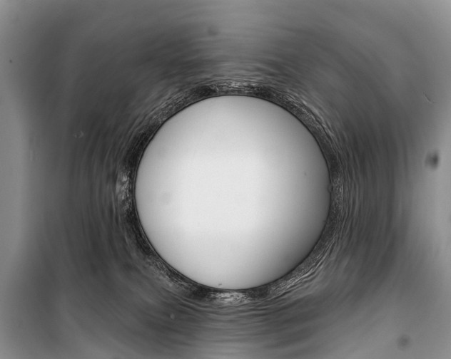 X0000101210087200806270904