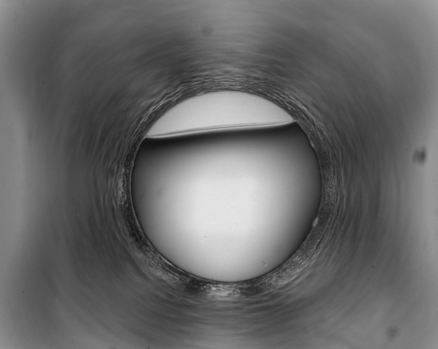 X0000101210088200806270904