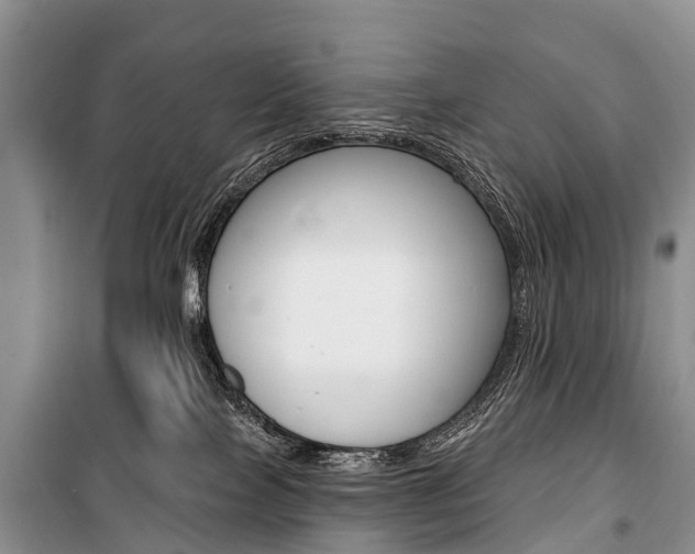 X0000101210089200806270904
