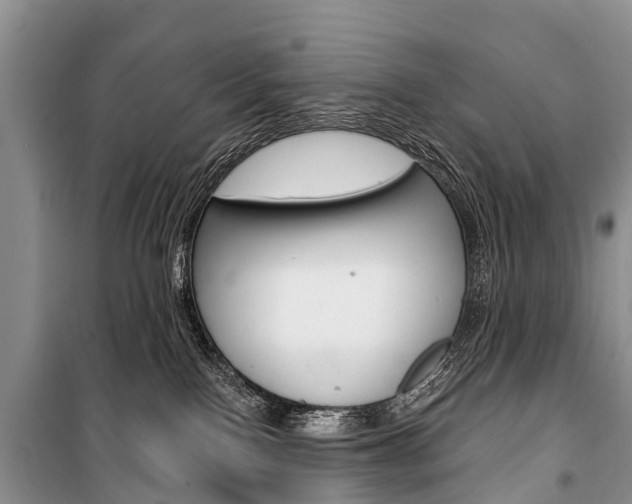 X0000101210090200806270904