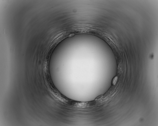 X0000101210092200806270904