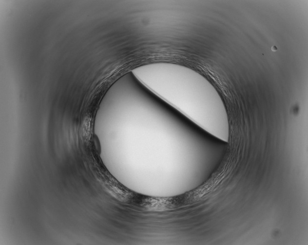 X0000101210093200806270904