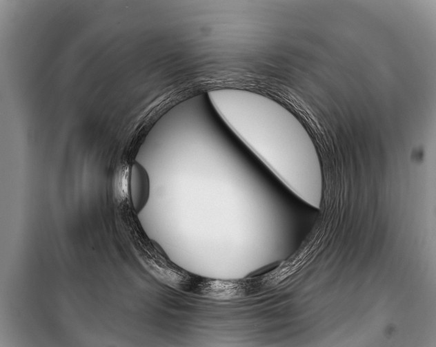 X0000101210095200806270904