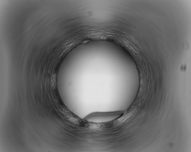 X0000101210096200806270904