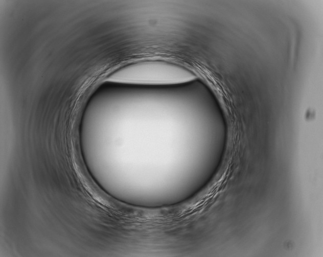 X0000101210097200806270903