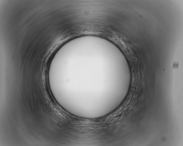 X0000101210098200806270903