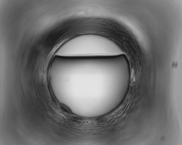 X0000101210099200806270903