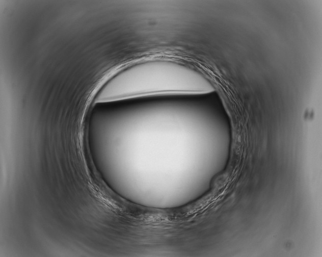 X0000101210100200806270903
