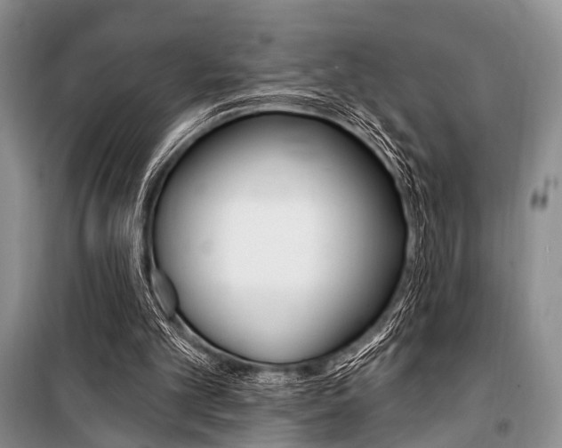 X0000101210101200806270903