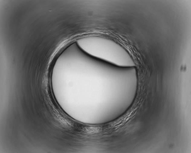 X0000101210102200806270903
