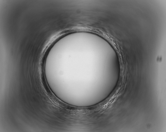 X0000101210103200806270903