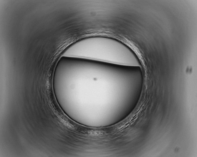 X0000101210105200806270903