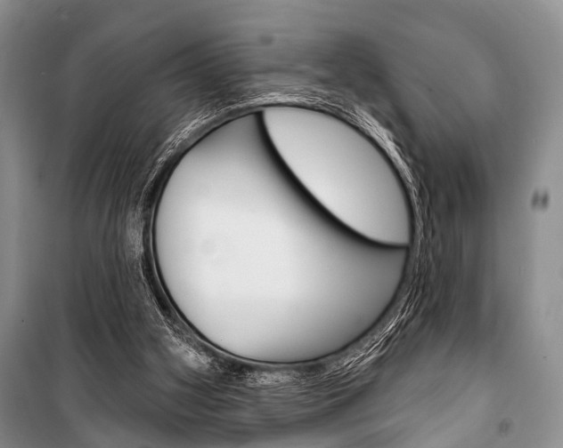 X0000101210106200806270903