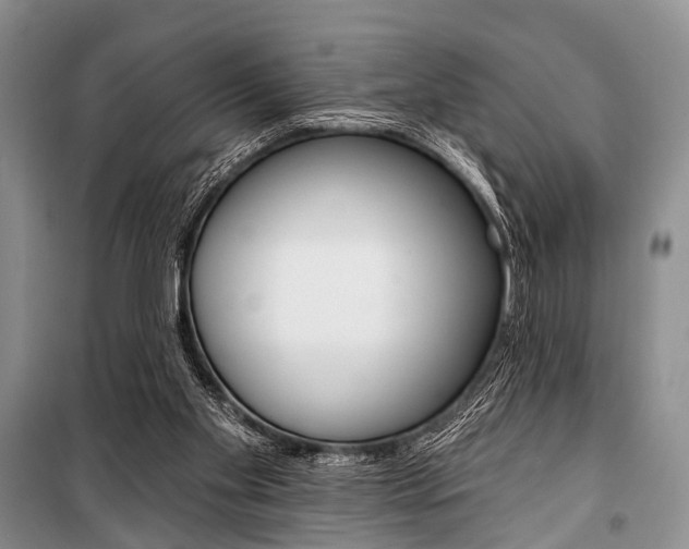 X0000101210109200806270903