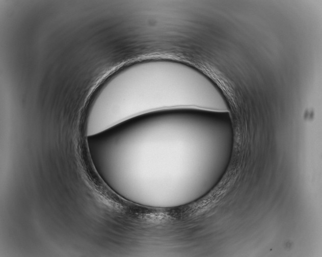 X0000101210112200806270903