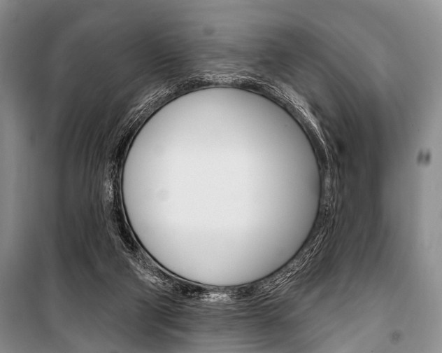 X0000101210114200806270903