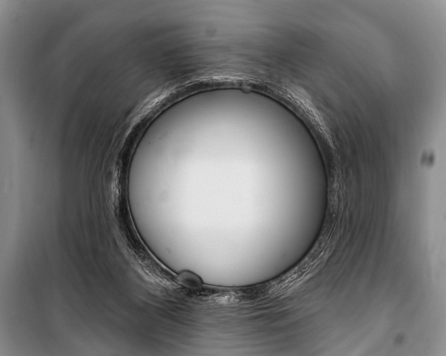X0000101210116200806270903