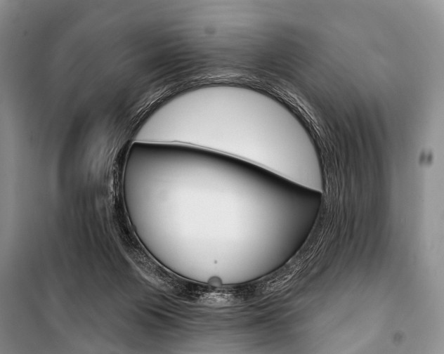 X0000101210119200806270903