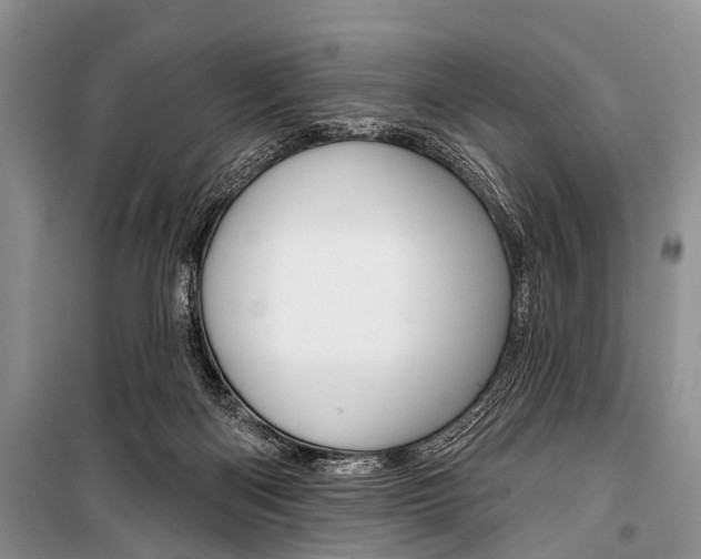 X0000101210122200806270903