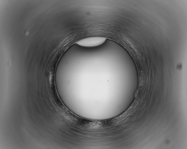 X0000101210124200806270903