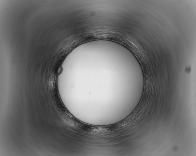 X0000101210125200806270903