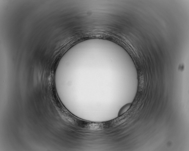 X0000101210126200806270903