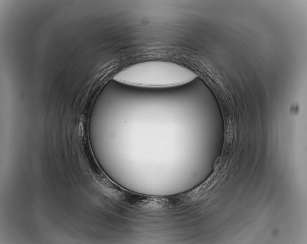 X0000101210128200806270903