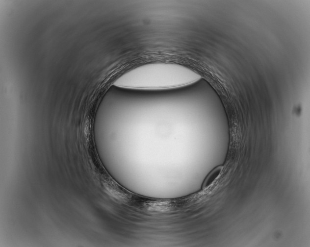 X0000101210132200806270902