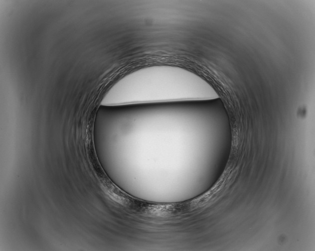 X0000101210136200806270902