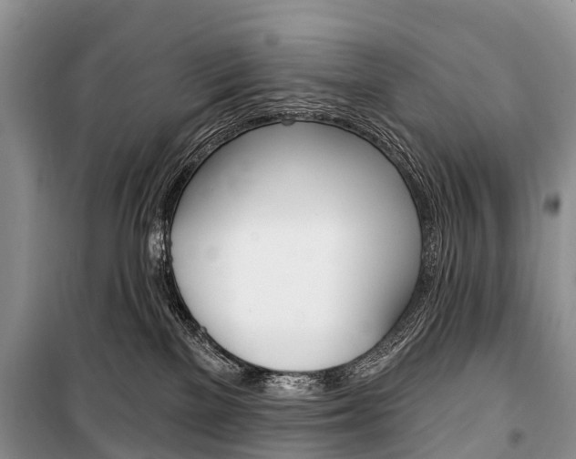 X0000101210137200806270902