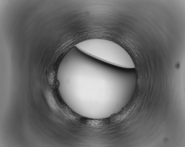 X0000101210139200806270902