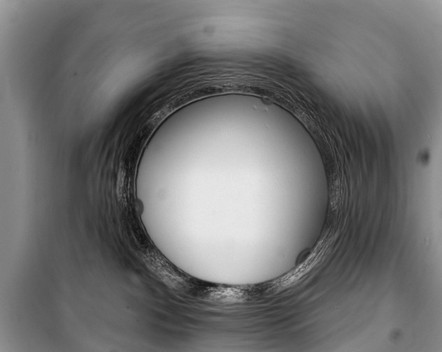 X0000101210140200806270902