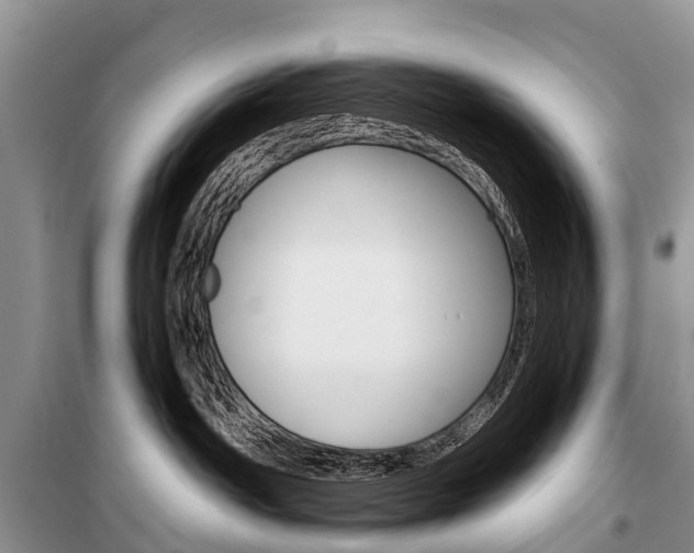 X0000101210142200806270902
