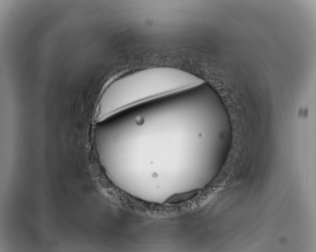 X0000101210144200806270902