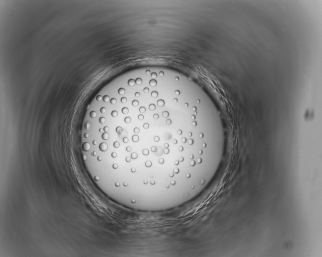 X0000101210145200806270902