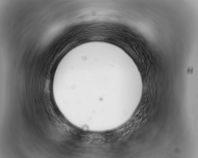 X0000101210146200806270902