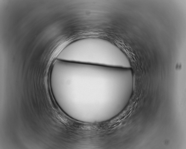X0000101210147200806270902